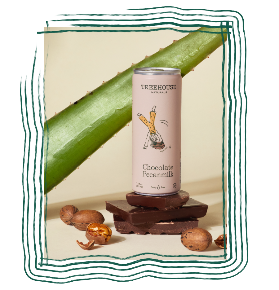 Pecan Milk: Clean, plant-based hydration – Treehouse Naturals
